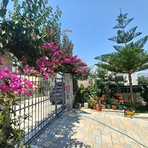 Vila Ester